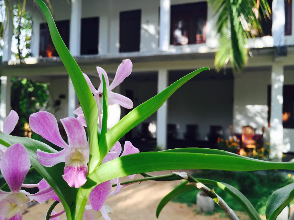 Sigiri Rainbow Lodge Sigiriya Bagian luar foto