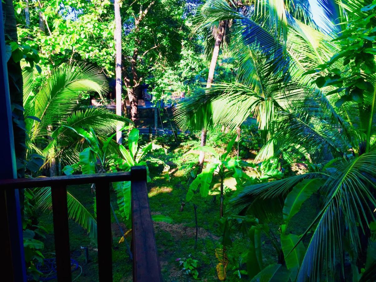 Sigiri Rainbow Lodge Sigiriya Bagian luar foto