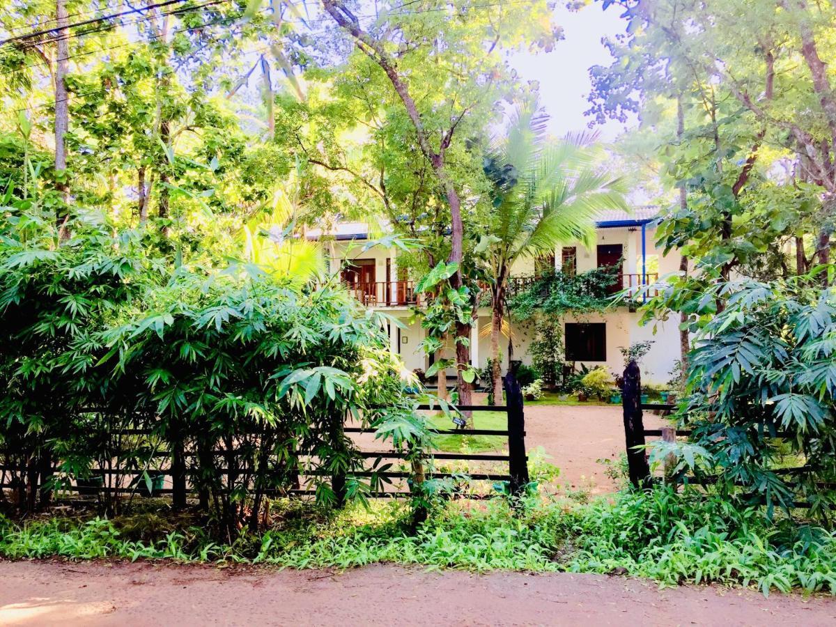 Sigiri Rainbow Lodge Sigiriya Bagian luar foto